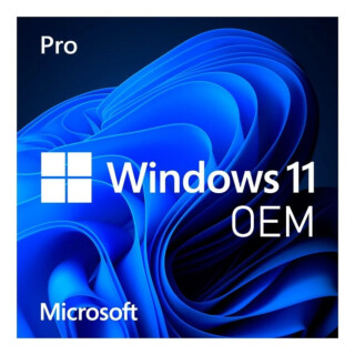 Microsoft Windows 11 Pro OEM (zie voorwaarden)
